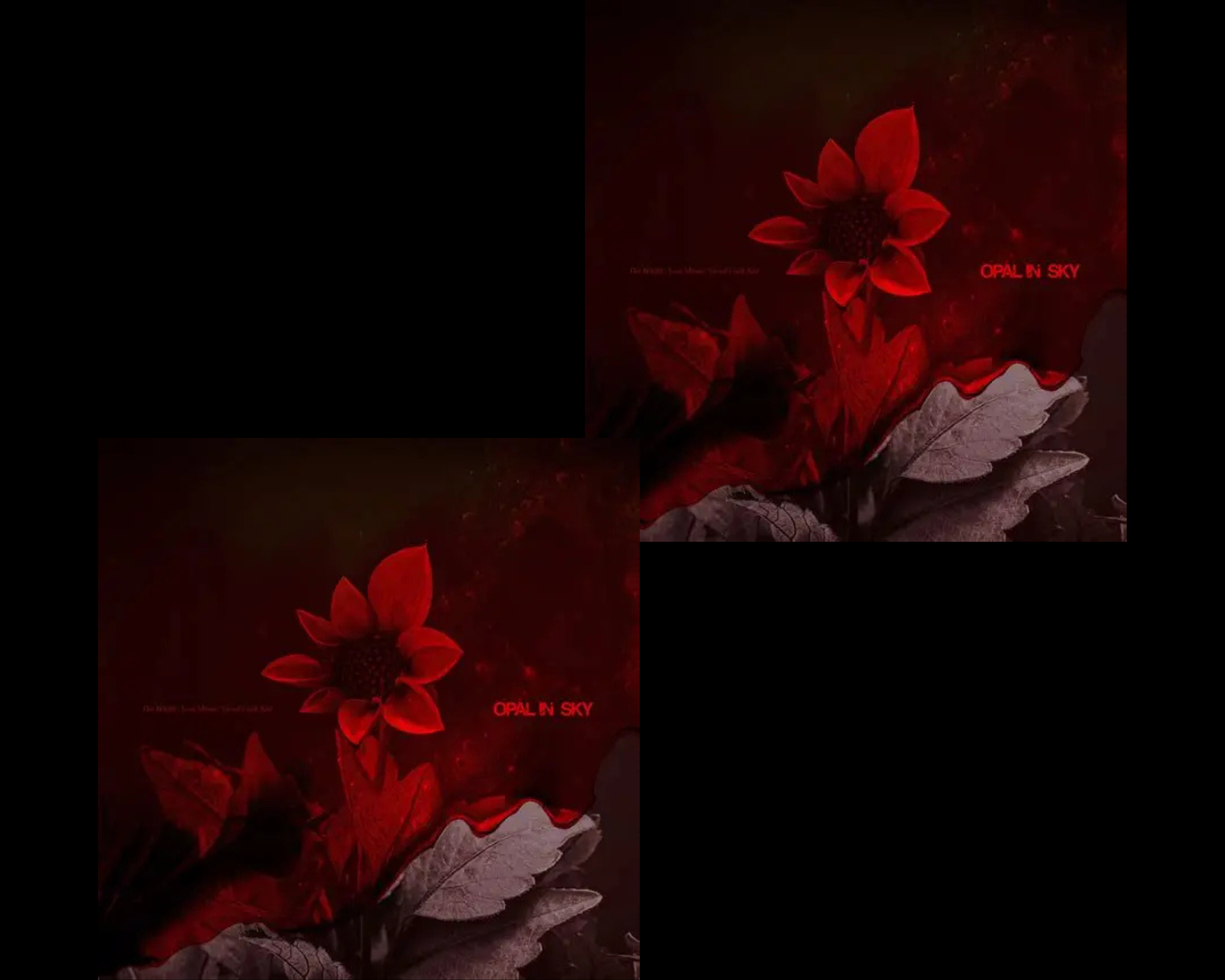 black and red checker. the red is the red blight song thumbnail